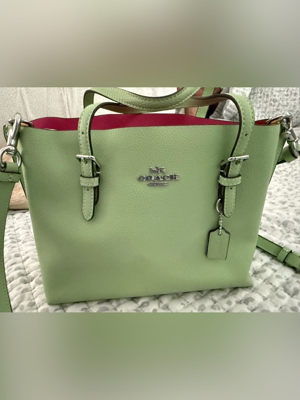 Coach Small Leather Tote in Light Green with Pink Interior